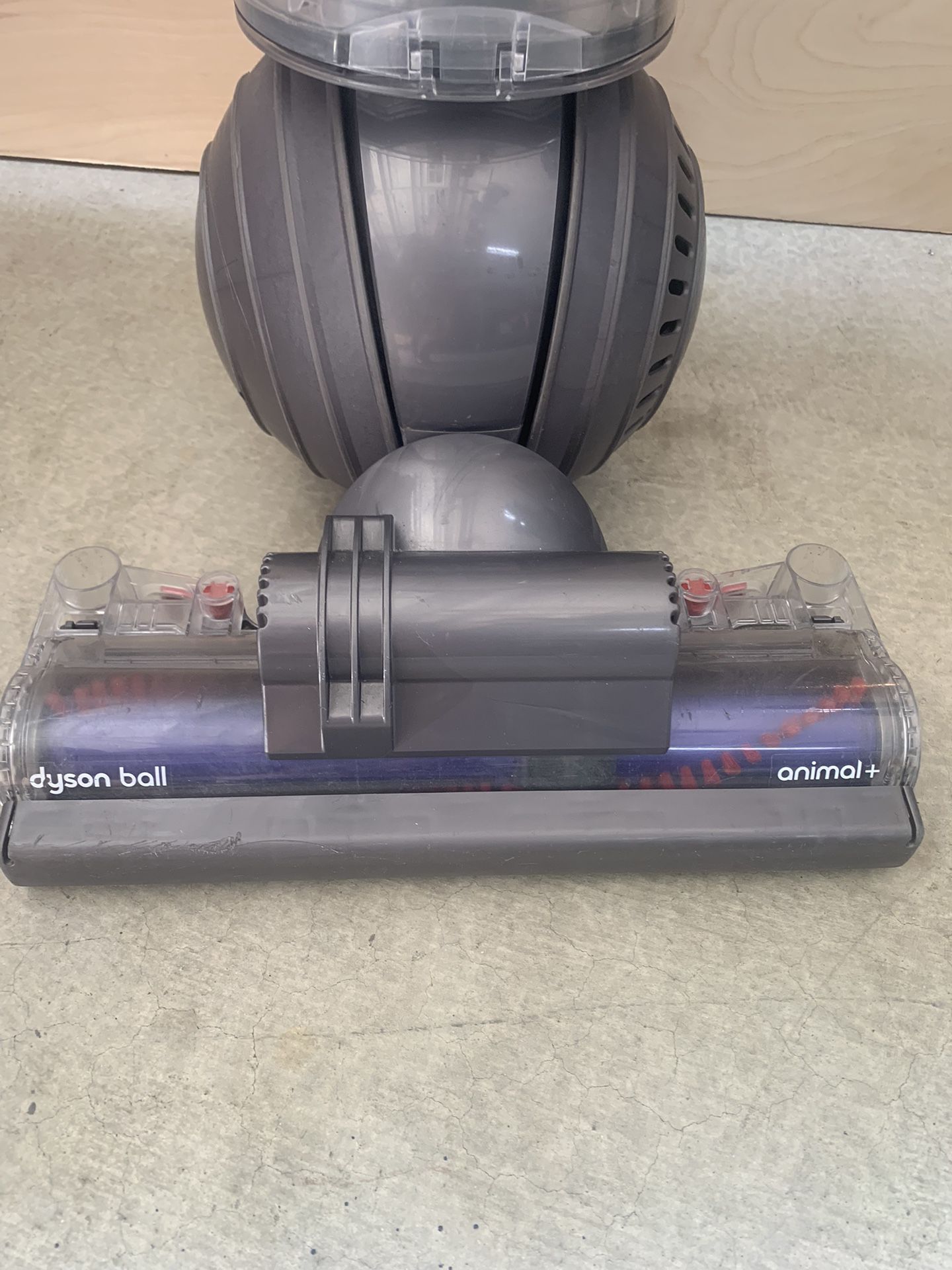 Dyson Ball Animal + Plus Upright Vacuum, Iron/Purple 