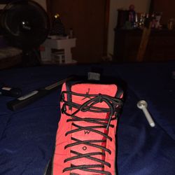 Jordan Reverse Flu Game 12s 
