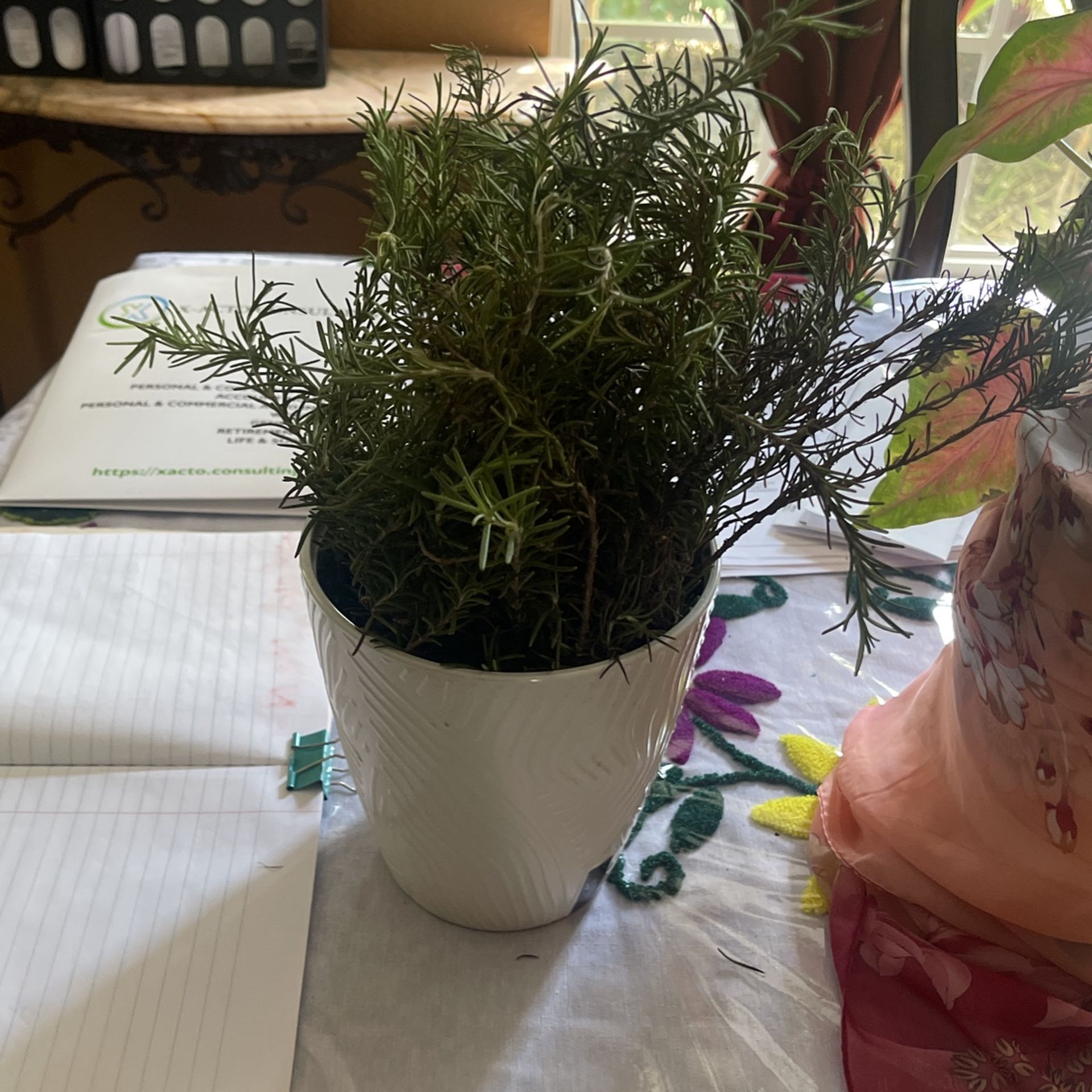 Rosemary