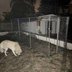 Dog Kennel