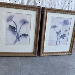 Vintage Botanicals Decorative Wall Art