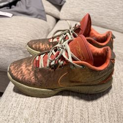 Free LeBron Shoes 