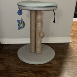 Small Cat Tree, Tall Cat Scratcher for Indoor Cats 