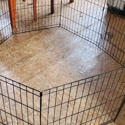 Playpen Pup