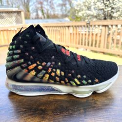 Nike Lebron 17 James Gang Men Size 10.5