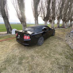 2010 Ford Mustang
