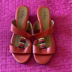 Shoe Size 8 1/2