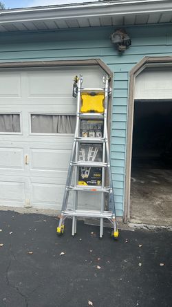 Gorilla ladder