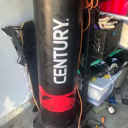 Century Punching Bag