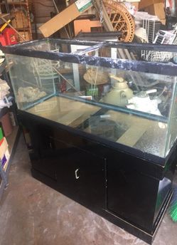 75 gallon fish tank