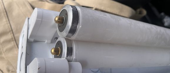 Tube Bulbs T12 