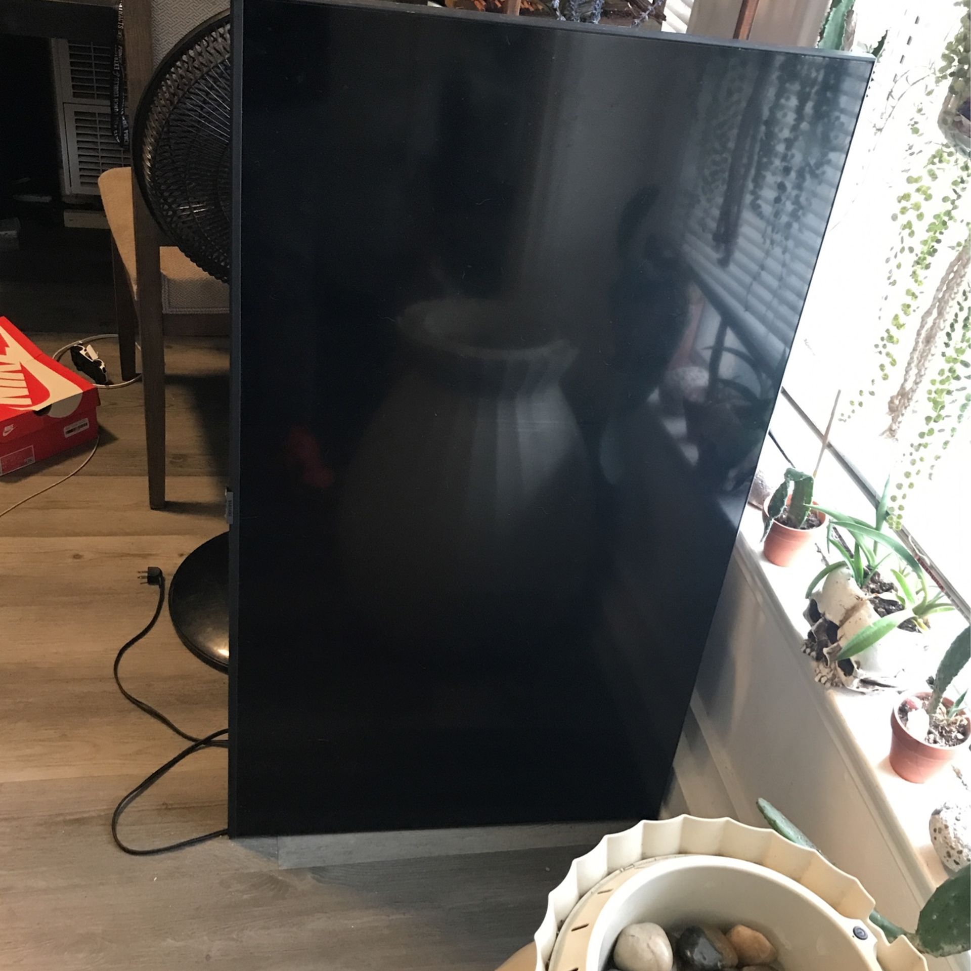 50 Inch