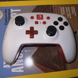Two Nintendo Switch Controllers 