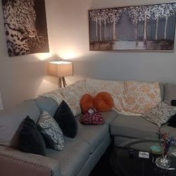 Light Grey Sectional