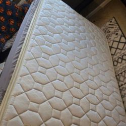 Twin Size Mattresses For Kid's Room