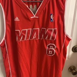 Lebron James heat jersey
