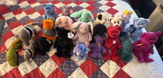 Huge Vintage Ty Beanie Baby Collection (21-Plush Master Lot)
