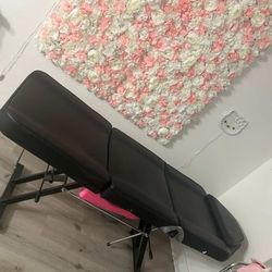 Beauty  Chair /  Massage Bed. 