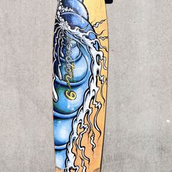 Long Board Skate Board