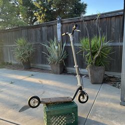 Goped knowped scooter