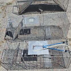 Animal Traps