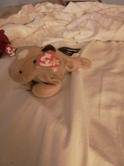 Retired 1995 Derby Horse 