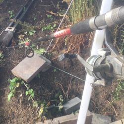 Eliminator Pole 9 Ft And Real Shakespeare Alpha  X050