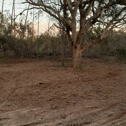 1.1/4 Acres In Compass Lake In The Hills, Marianna Florida, Birch Ave.