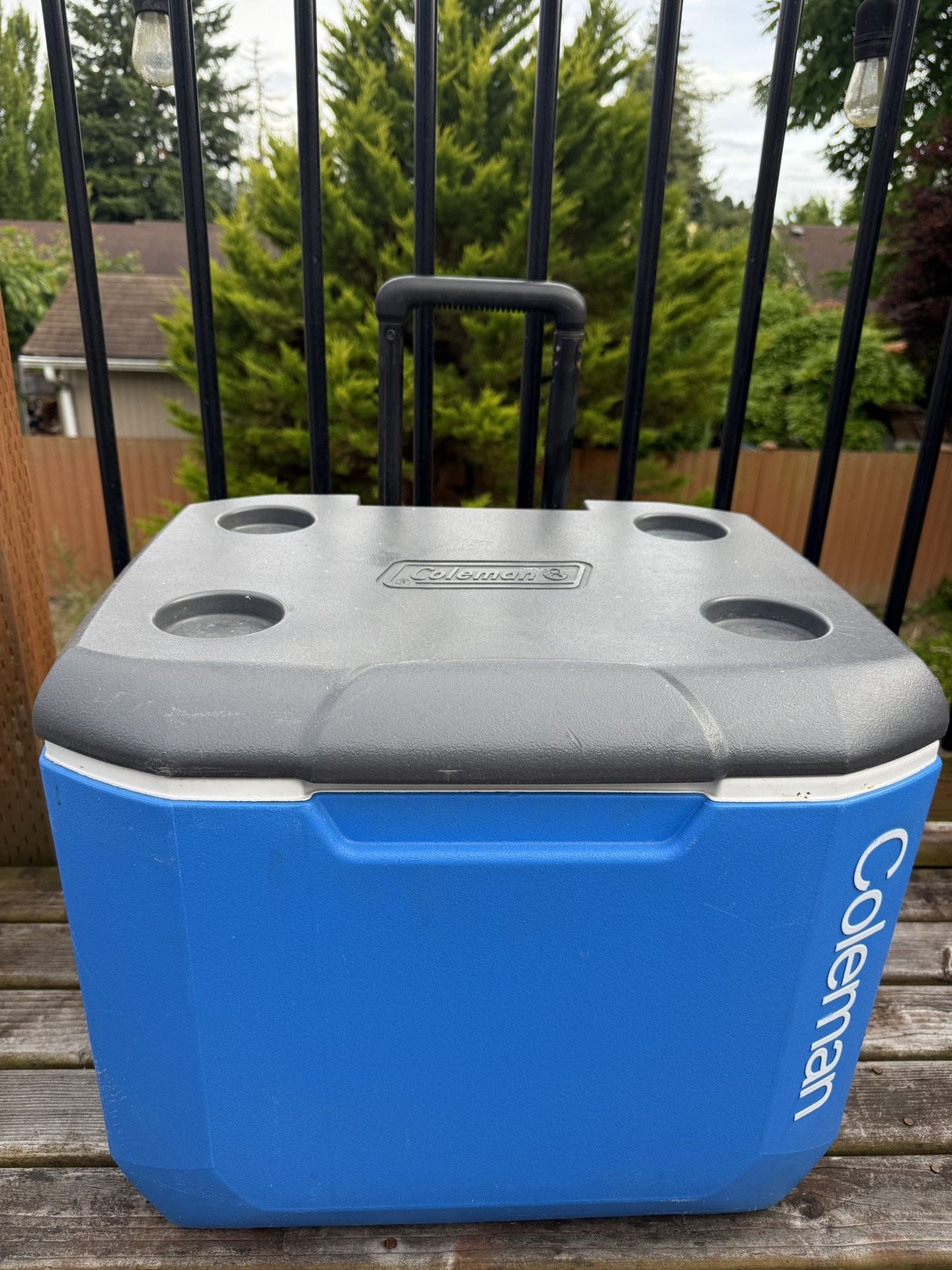 Cooler