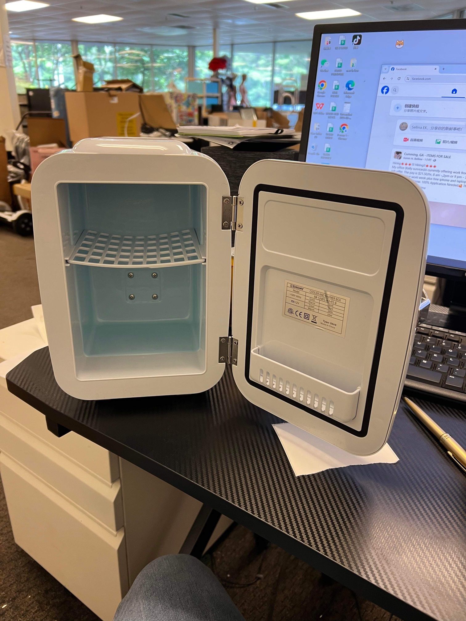 Mini Fridge Portable Food Drinks Makeup Skincare Electric Cooler & Warm