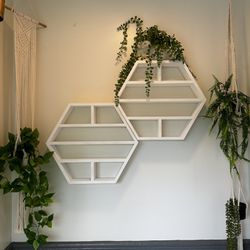 Zen Space Hanging macrame plant holders and plants