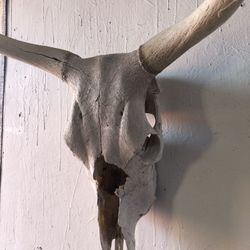 Skull Western Decor