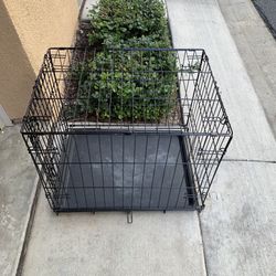 Pet Crate