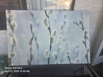 Wooden frame canvas picture