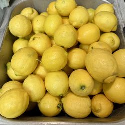 Lemons For Sale