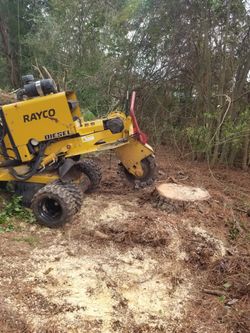 Stump grinding