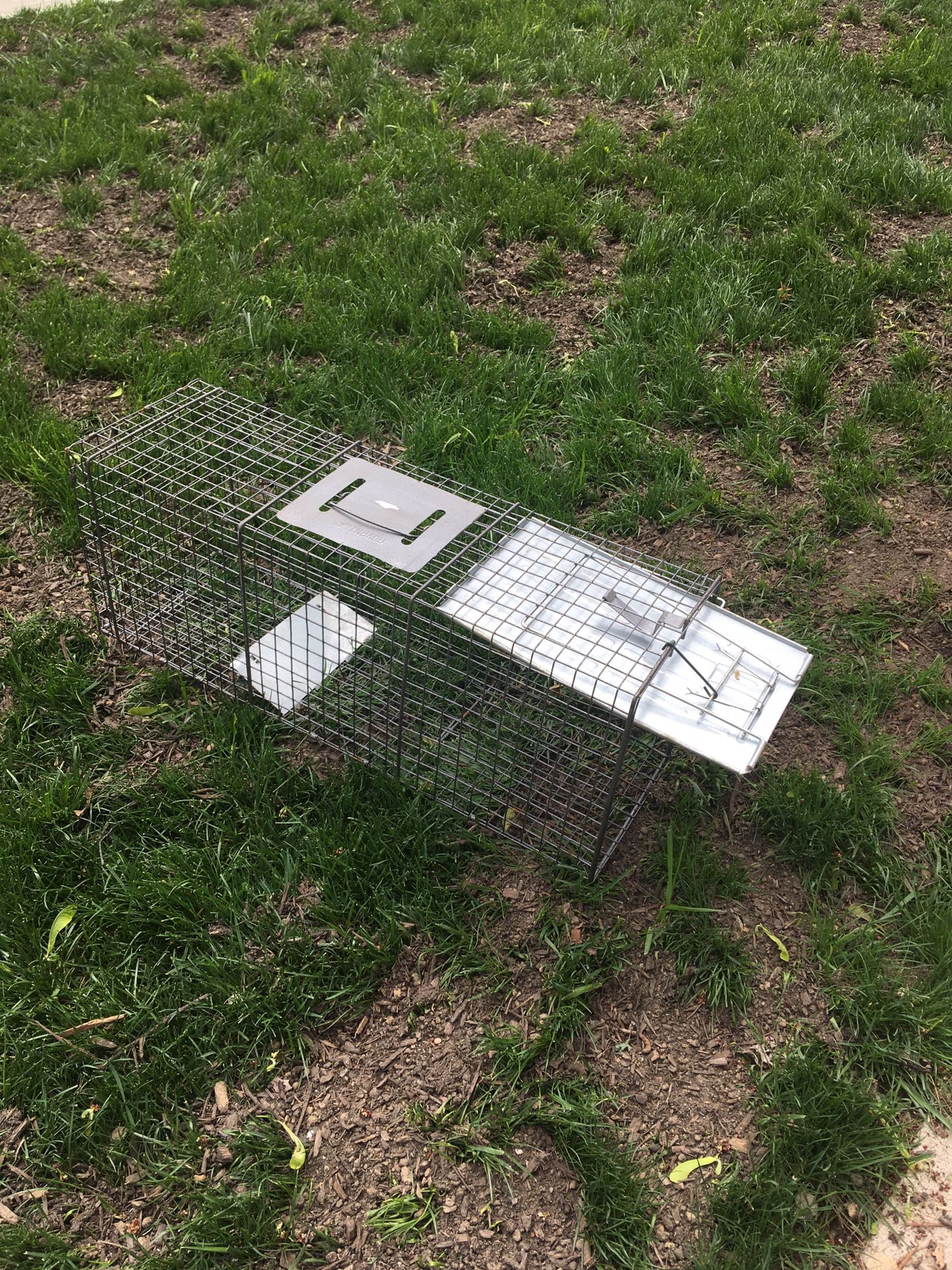 Live Animal Trap