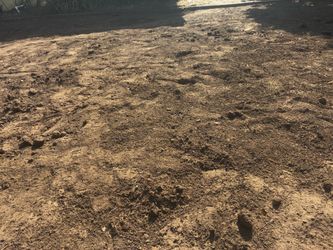 Free dirt
