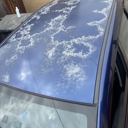 Auto Body/ Body Shop