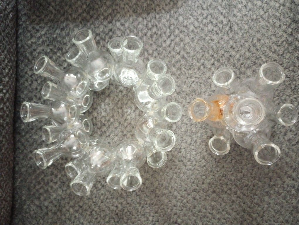 The Floral Seven And Gluteal Design Plant/Flower Display Glass