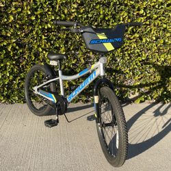 Schwinn 20” Kids Boys Bike Bicycle Hand Brake Coaster Brake