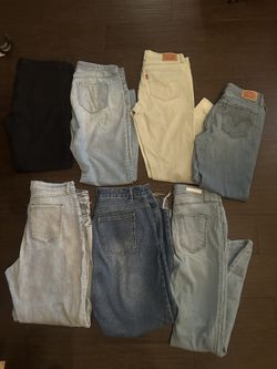 Pants Women 