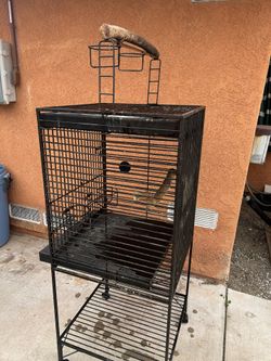Bird Cage