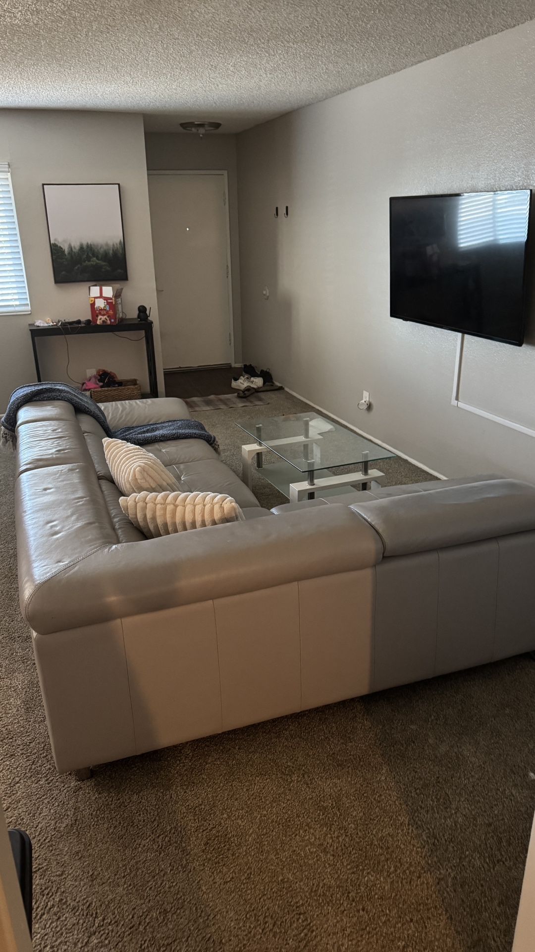 Leather couch