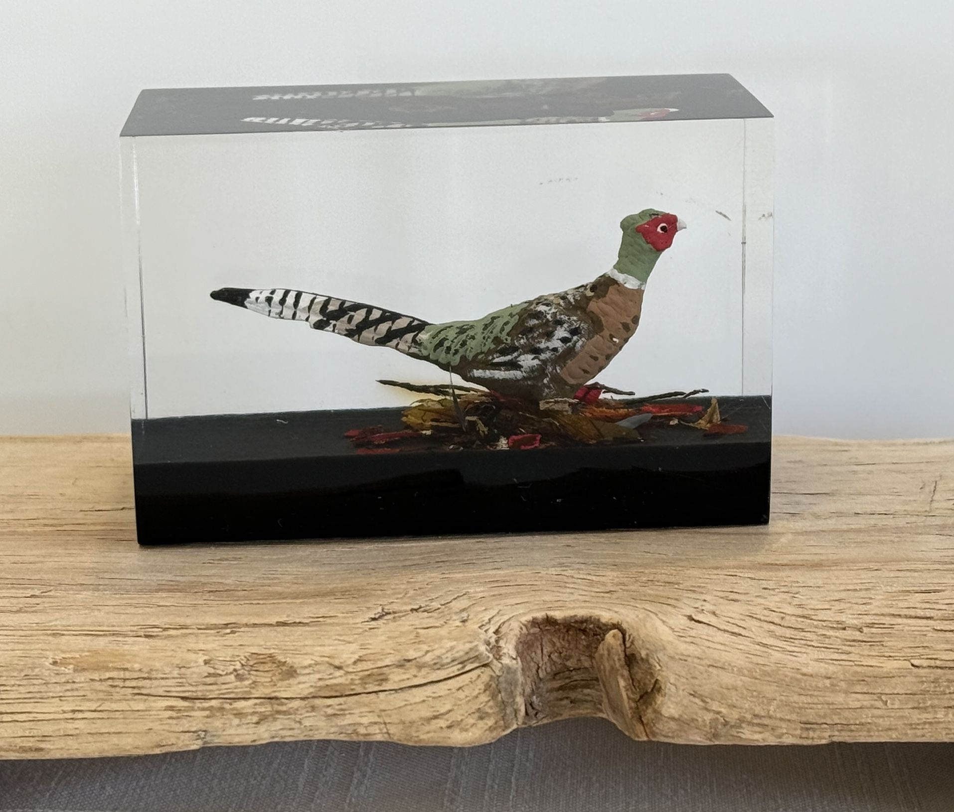Vintage Lucite Paperweight Pheasant Home Desk Shelf Decor | 3-5/8”W x 2-3/8”H