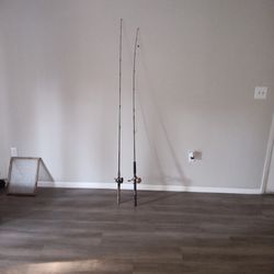 Two Saltwater Rods