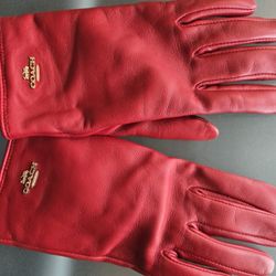 Coach Gloves - Small