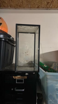 10 Gallon Tank