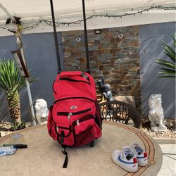 Pink Carry On Bag 