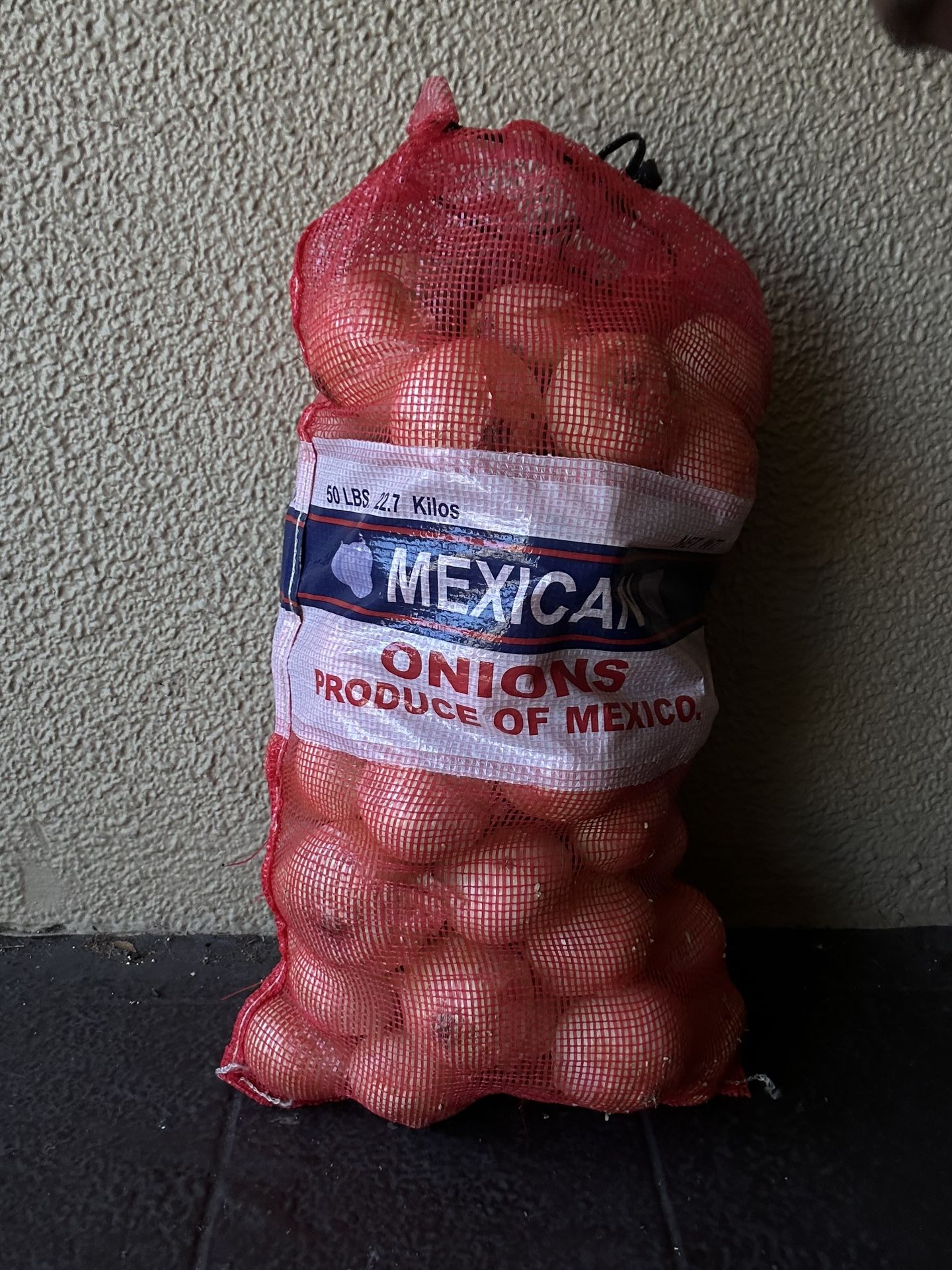Onions 50 Lb bag